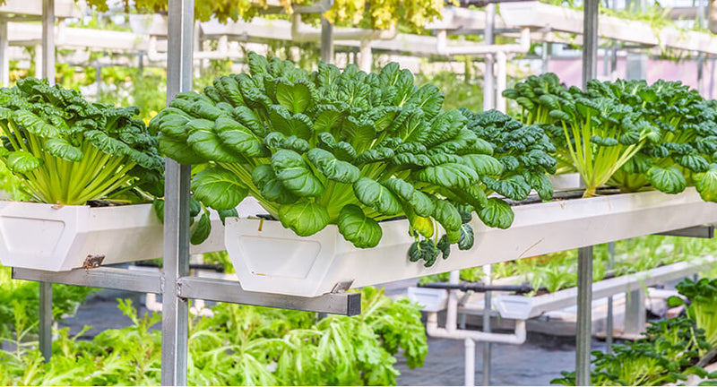 There are many variations of passages