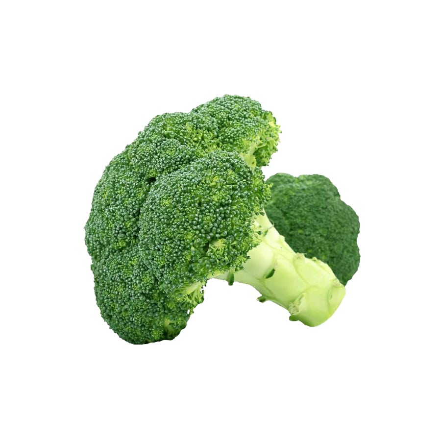 Example Broccoli