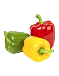 Bell Pepper
