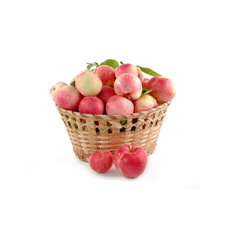 Example Apple