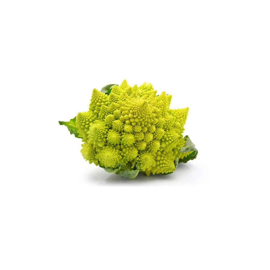 Example Broccoli